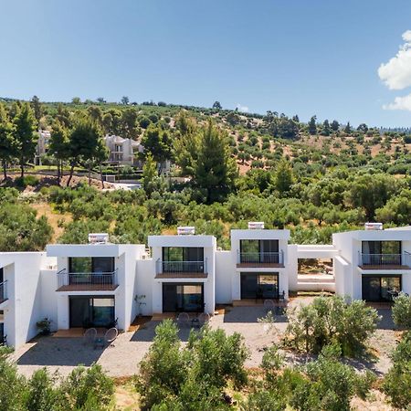 Olea Villas By Halu!, Cozy Villa In Nikiti Lagomandra Eksteriør bilde