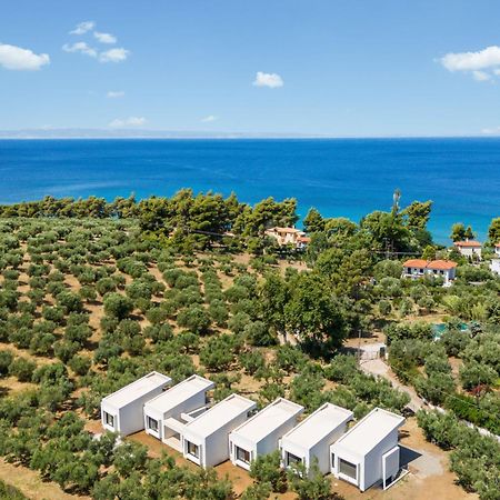 Olea Villas By Halu!, Cozy Villa In Nikiti Lagomandra Eksteriør bilde