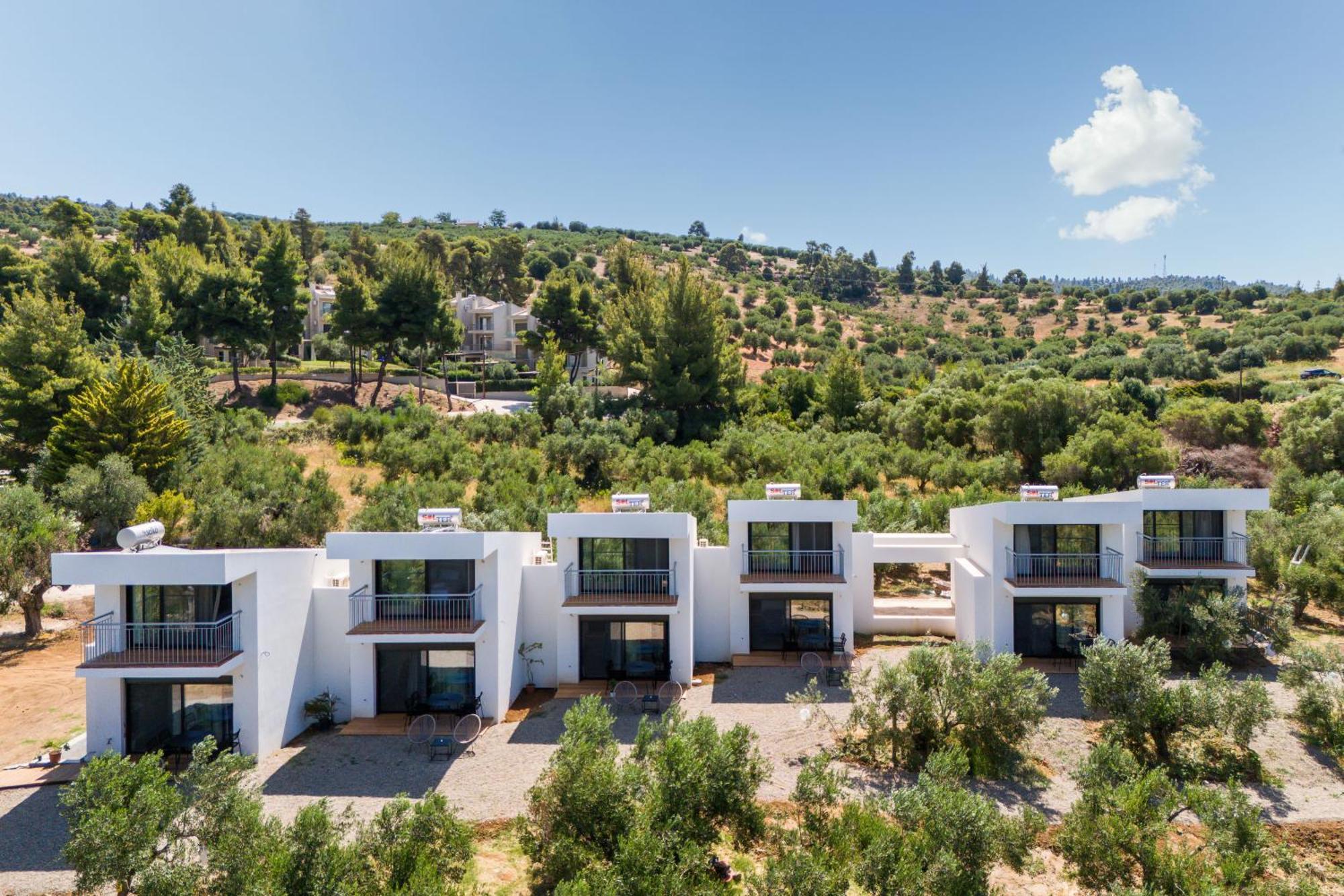 Olea Villas By Halu!, Cozy Villa In Nikiti Lagomandra Eksteriør bilde