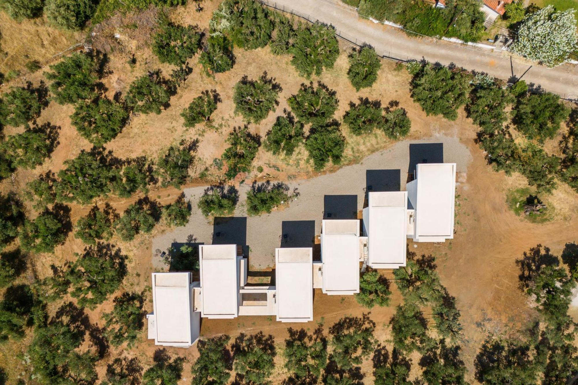 Olea Villas By Halu!, Cozy Villa In Nikiti Lagomandra Eksteriør bilde