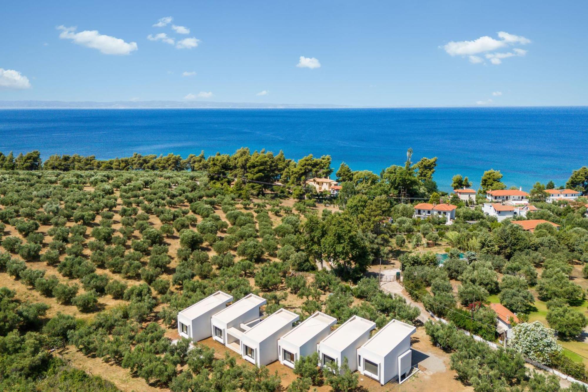 Olea Villas By Halu!, Cozy Villa In Nikiti Lagomandra Eksteriør bilde