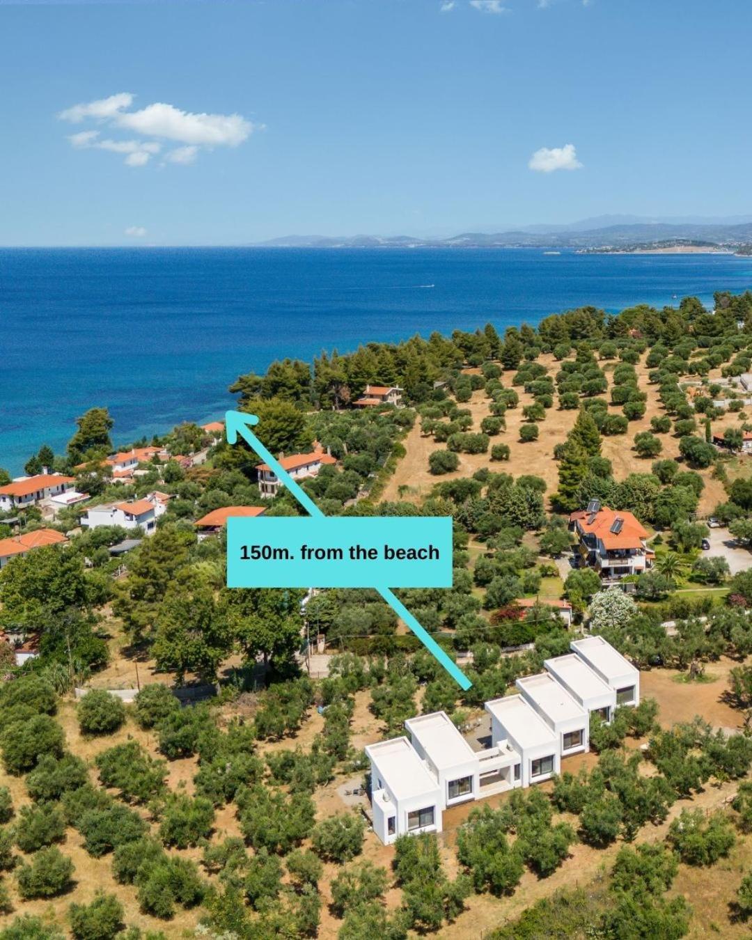 Olea Villas By Halu!, Cozy Villa In Nikiti Lagomandra Eksteriør bilde